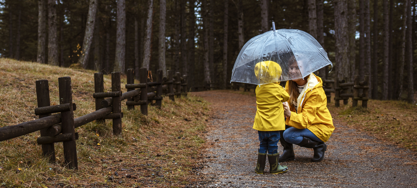 Texas Umbrella Insurance Coverage